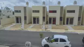 Las casas tienen menos de un año de ser entregadas