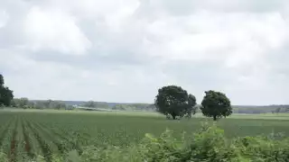 La fumigación vía aérea fue evitada en Campeche