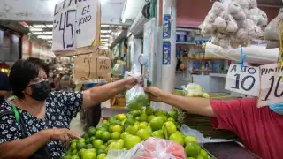 Destacaron la baja del monto del jitomate, chile poblano y calabacita, entre otros tubérculos