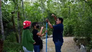 El nuevo murciélago hallado en Cozumel trata del ojón peludo, con lo que aumenta la diversidad de especies