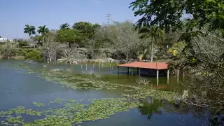 Un aproximado de 2 metros de altura de agua es lo que falta por retirarse del espacio afectado. En la zona no hay ninguna vigilancia de guardaparques
