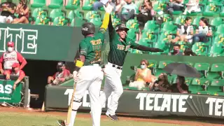 Los Leones tienen 26 victorias con 23 derrotas, ocupando el segundo lugar de la Zona Sur