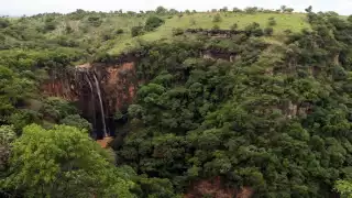 El estudio, publicado en la revista Science, involucró a investigadores del CICY, la Universidad de Wageningen, en Países Bajos, y la Universidad Mayor, en Chile
