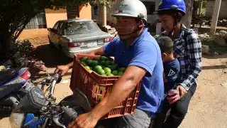 Vendedores compran cajas de limón persa de 18.5 kilos a mil 100 pesos y lo ofrecen a 60 y hasta 65 pesos en Mérida