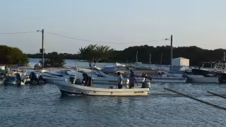 Una propuesta es crear una cooperativa entre los pescadores y privatizarlo