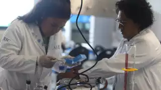 El sexo femenino “domina” en especialidades y maestrías, aunque aún se encuentran muy relegado en carreras de técnico superior y doctorado