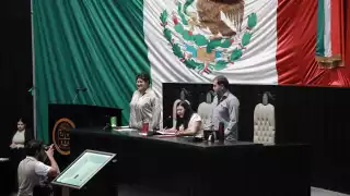 Avalaron los Diputados la integración de Comisión Especial