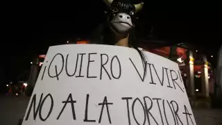 Animalistas manifestaron que el Ayuntamiento sigue haciendo mal las cosas con relación al respeto a la fauna