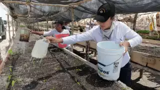Presentan informe de avance de pensiones, becas y Programas para el Bienestar