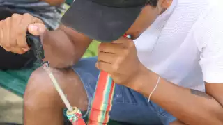 En solo un año disminuyó el consumo de marihuana en Yucatán