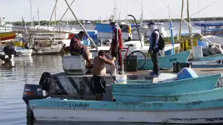 Debido al precio actual del kilo de la especie marina, que ronda los 850 pesos por kilo