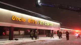 En el incendio murieron al menos 40 perros y 25 pericos