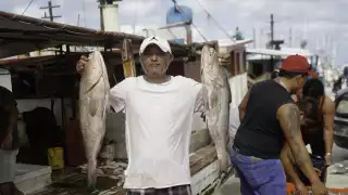 Yucatán, entre los últimos lugares de producción agrícola en México: Sader