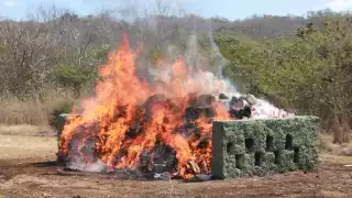 Se incineraron diversas drogas, cigarrillos y pirotecnia decomisada en Campeche