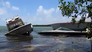 Embarcaciones hundidas afectan el crecimiento del mangle en la Laguna Nichupté