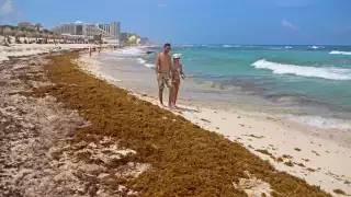 Algunas zonas de Quintana Roo tuvieron mayor recale de sargazo, como Puerto Morelos, Cozumel y Tulum