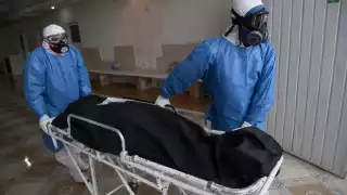 Los casos de COVID-19 continúan disminuyendo