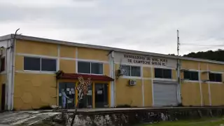 Han emigrado muchas colonias de abejas ante los cambios drásticos de temperatura, señalan