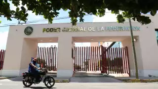 El juez Adrián Novelo definirá hoy si concede o no la suspensión de un criadero de cochinos ubicado en la comisaría izamaleña