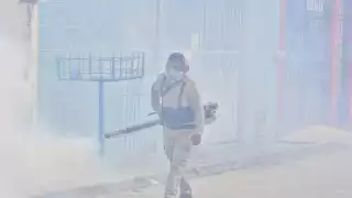 Dengue, el enemigo silencioso que azota a Quintana Roo: 2023 cerró con 5 mil 163 casos confirmados