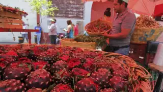 Los beneficios de comer Pitaya, la fruta del dragón
