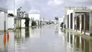 Una de las razones por la cual se inundan las calles es por la cantidad de basura que llega a las alcantarilla
