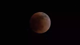 El próximo eclipse que se verá en Yucatán será antes de finalizar el año