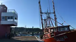 Peligran 40 embarcaciones de altura, cuya producción es equivalente a 50 millones de pesos una vez colocada en la Unión Americana