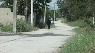 Algunas zonas habitacionales tienen calles sin pavimentar