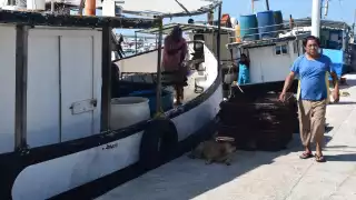 Hasta el momento, ninguna dependencia ha comunicado algún dato o seguimiento respecto a esta embarcación en altamar