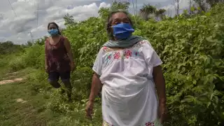 En una década, la cifra de mayahablantes disminuyó en 19 mil 832