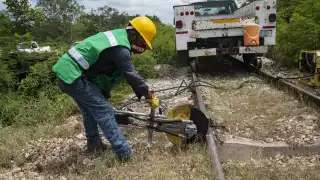 FOTO: Cuauhtémoc Moreno
