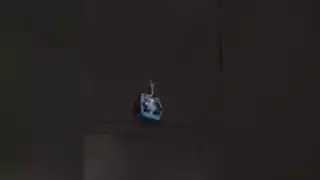 Varios usuarios compartieron sus videos a través de redes sociales