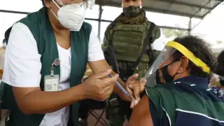 Son 56 los municipios en donde se emplearán los antígenos de las farmacéuticas Pfizer, Sinovac y CanSino