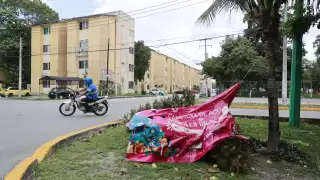 Camellones y banquetas se convierten en tiraderos de árboles de navidad en Cancún