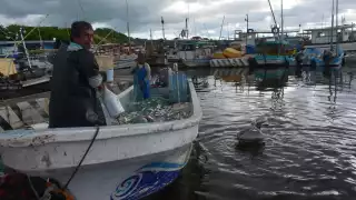 Desaparecen cinco pescadores tras los 'vientos huracanados' en Celestún, Yucatán