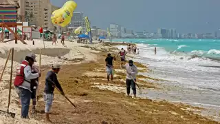 El sargazo supera al persona de limpieza de playas