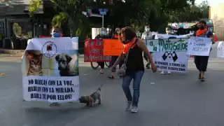 Los dueños de los animales levantaron cuatro denuncias y piden que se castigue a la enfermera