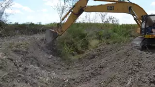 El área deforestada en el municipio de Othón P. Blanco, al sur de Quintana Roo, mide alrededor de 240 kilómetros cuadrados