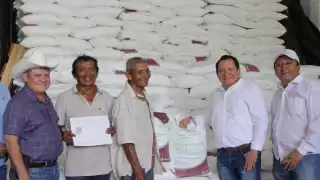 La entrega se realiza a través de 14 centros de distribución en varios municipos de Yucatán