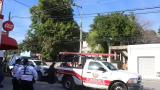 Vecinos mencionaron que al menos tres perros registraron ataques del felino mientras huía