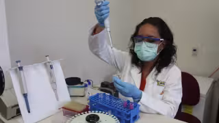 Continúa la búsqueda de una vacuna universal para detener esta pandemia