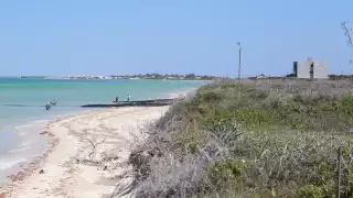 El proyecto carece de Manifestación de Impacto Ambiental, pero gracias al poder e influencia de estas personas está siendo posible