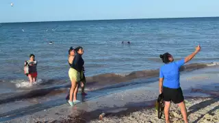 El martes había incluso banderas rojas junto al agua, pero los bañistas hicieron caso omiso