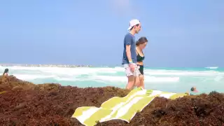 Los turistas no disfrutan por completo de las playas debido a la cantidad de sargazo existente en la arena