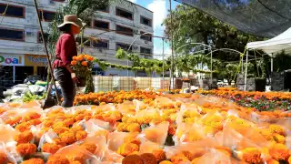 El costo del traslado y el precio de la gasolina han hecho que el precio de la flor suba