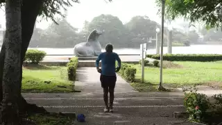 Este año la capa de polvo del Sahara fue de un 60 a 70% mayor que en dos décadas