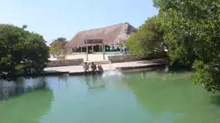El paradisiaco ojo de agua dulce rodeado de mangles es el sitio ideal para disfrutar las vacaciones de Verano