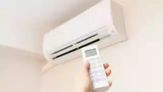 Comerciantes indican que la compra de los artículos aumentó un 50%.