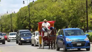 Calesas eléctricas de Mérida "desencantan" a turistas, prefieren las tradicionales